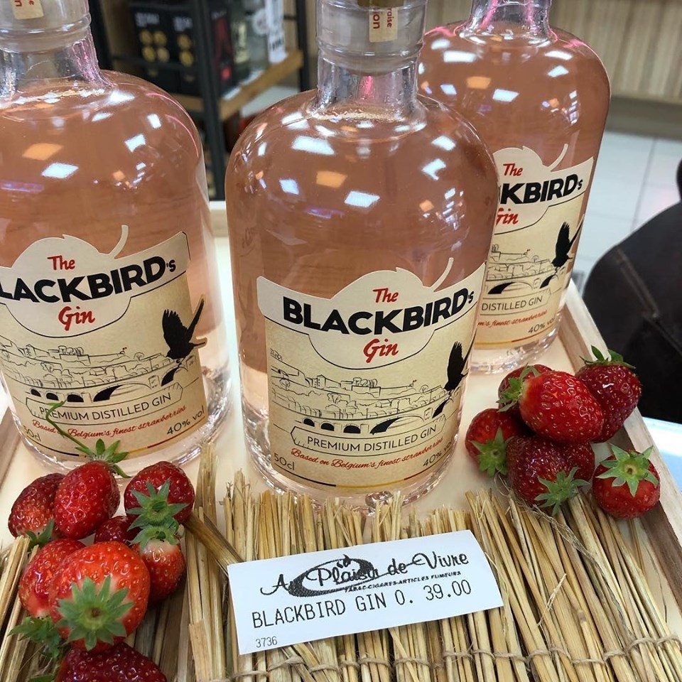 The Blackbird's Gin 0.5l - 40%
